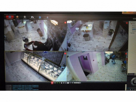 Установка видеонаблюдения в Химках в магазине цветов